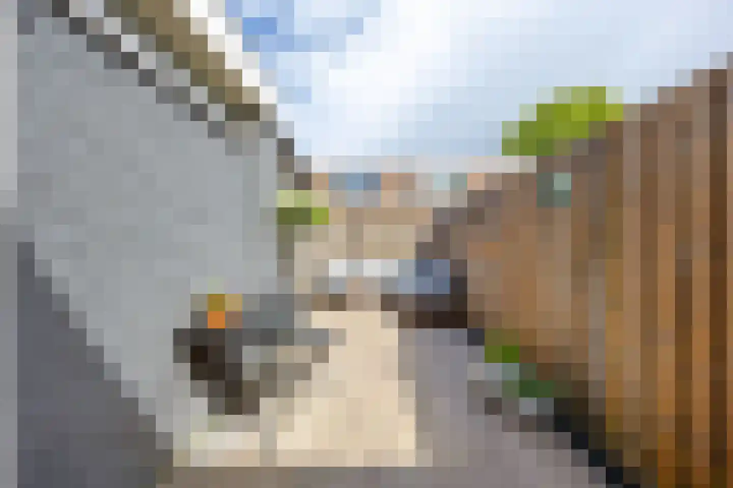 Aconietenhof 12 Winsum thumbnail 25