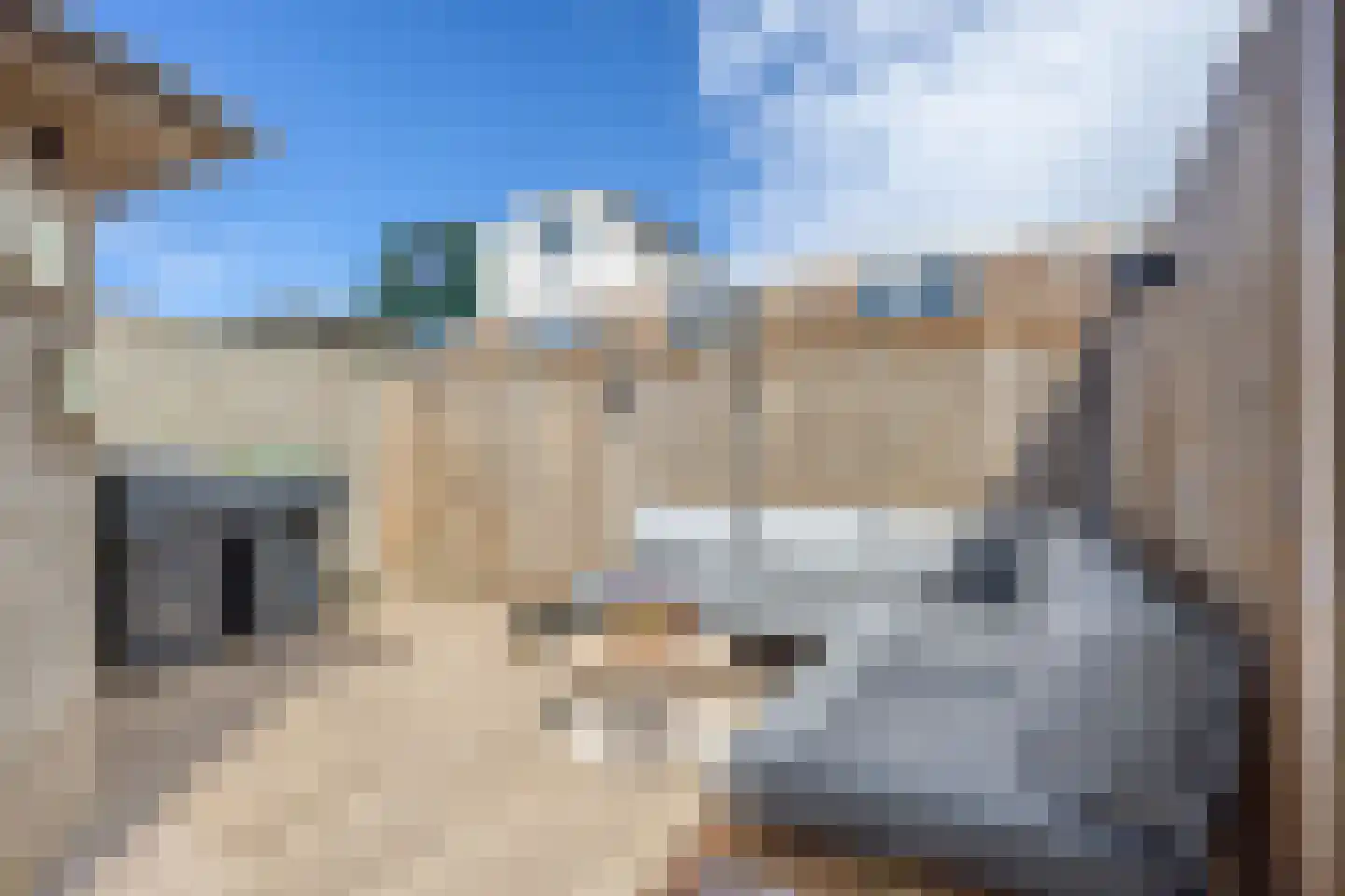Aconietenhof 12 Winsum thumbnail 26