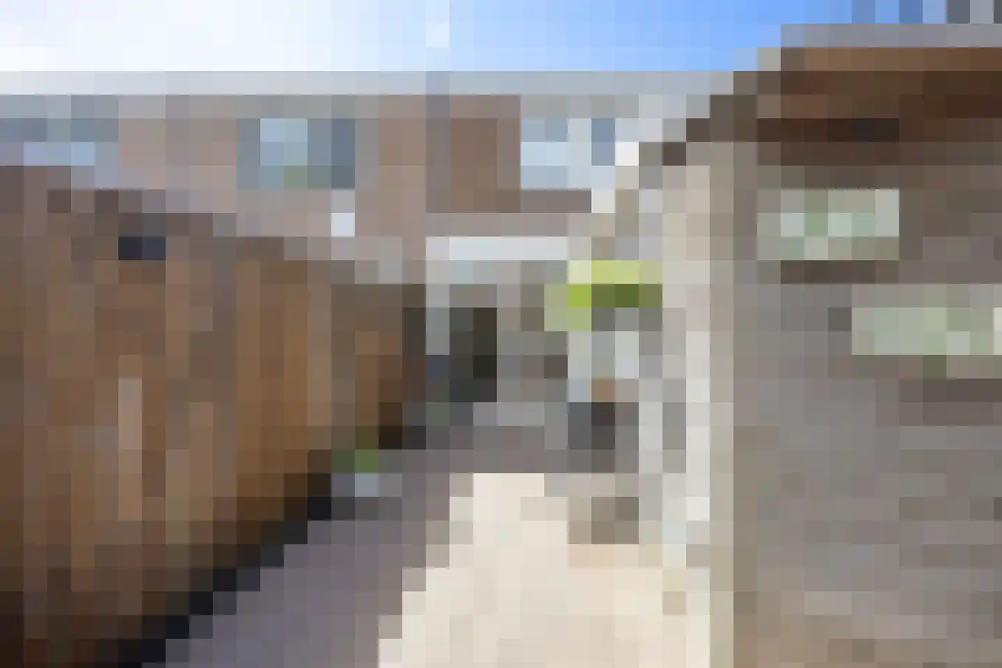 Aconietenhof 12 Winsum thumbnail 28