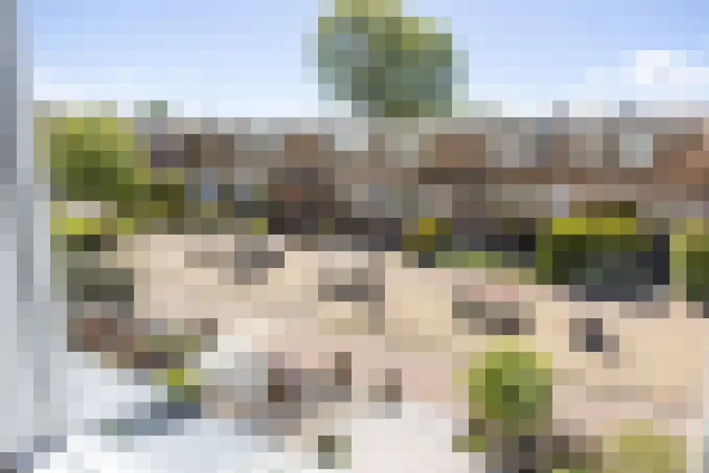Aconietenhof 12 Winsum thumbnail 30