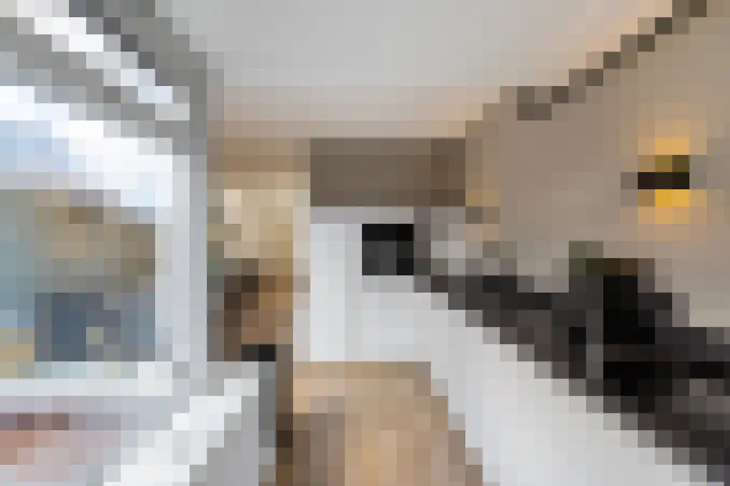 Aconietenhof 22 Winsum thumbnail 10