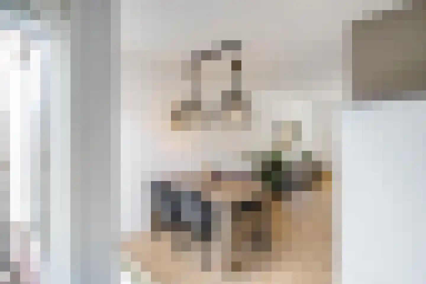 Aconietenhof 22 Winsum thumbnail 11