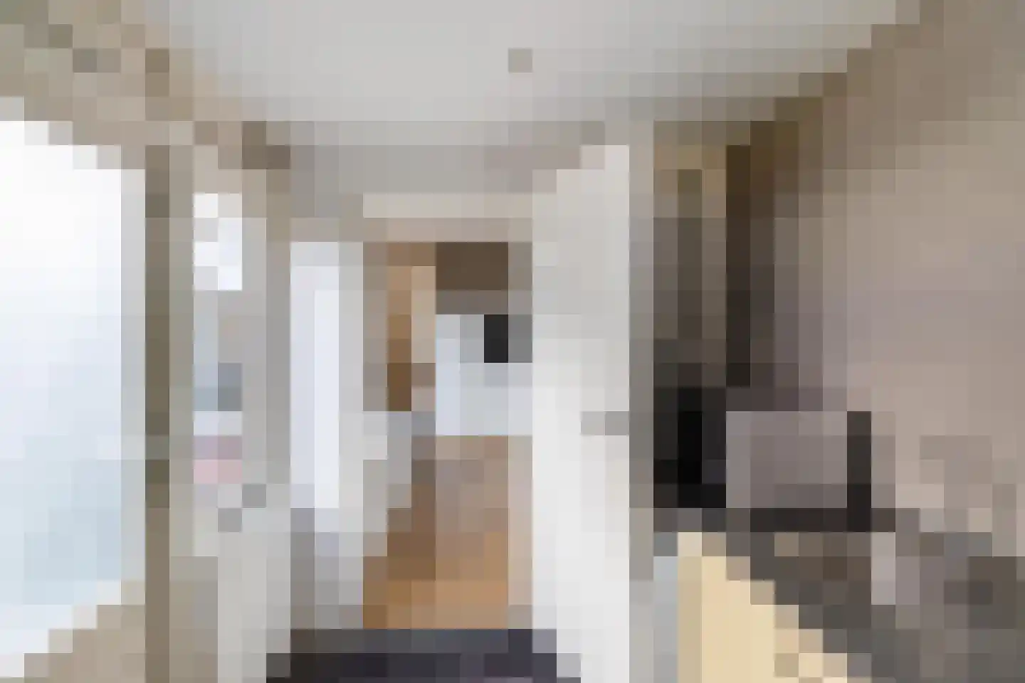 Aconietenhof 22 Winsum thumbnail 13
