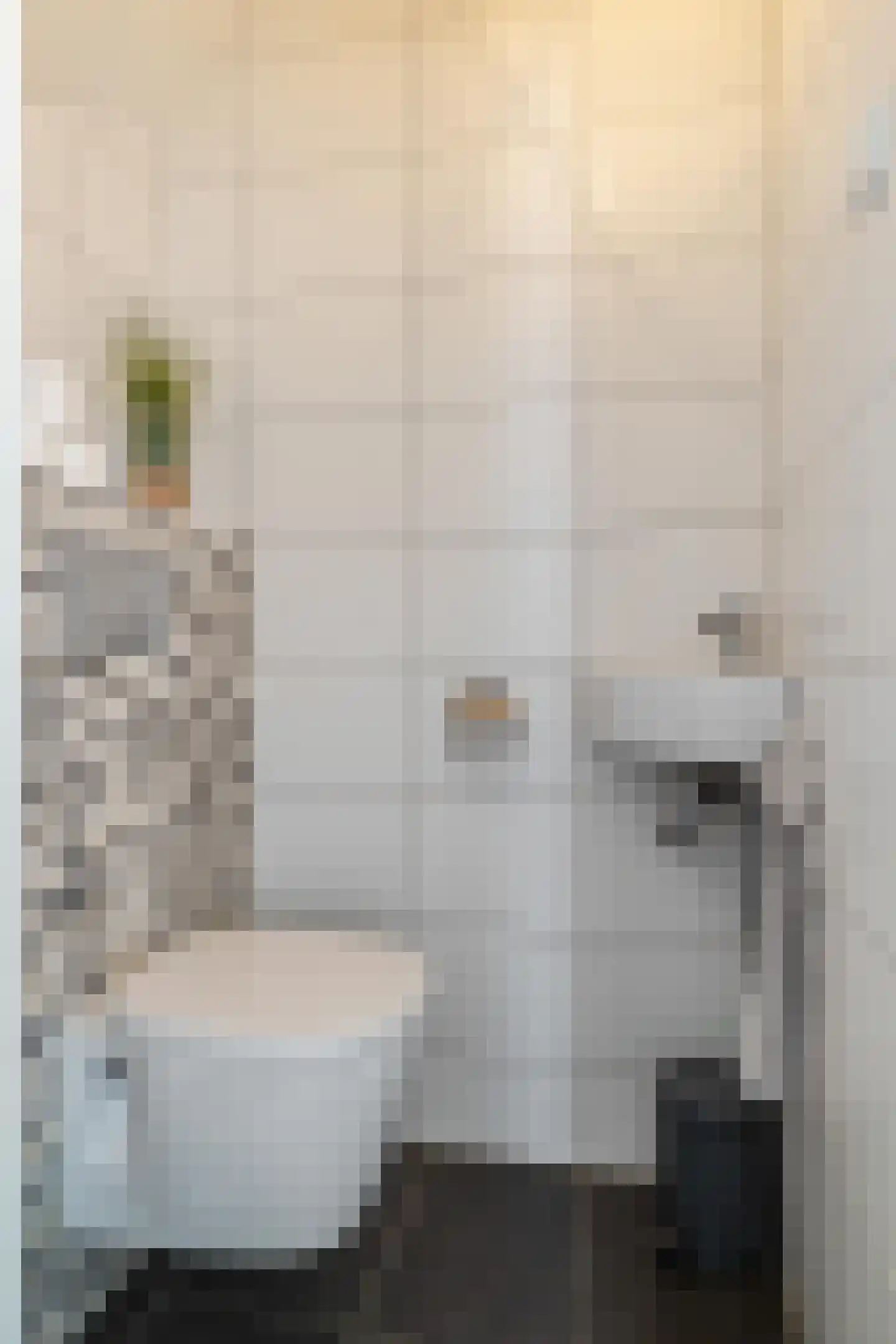 Aconietenhof 22 Winsum thumbnail 14