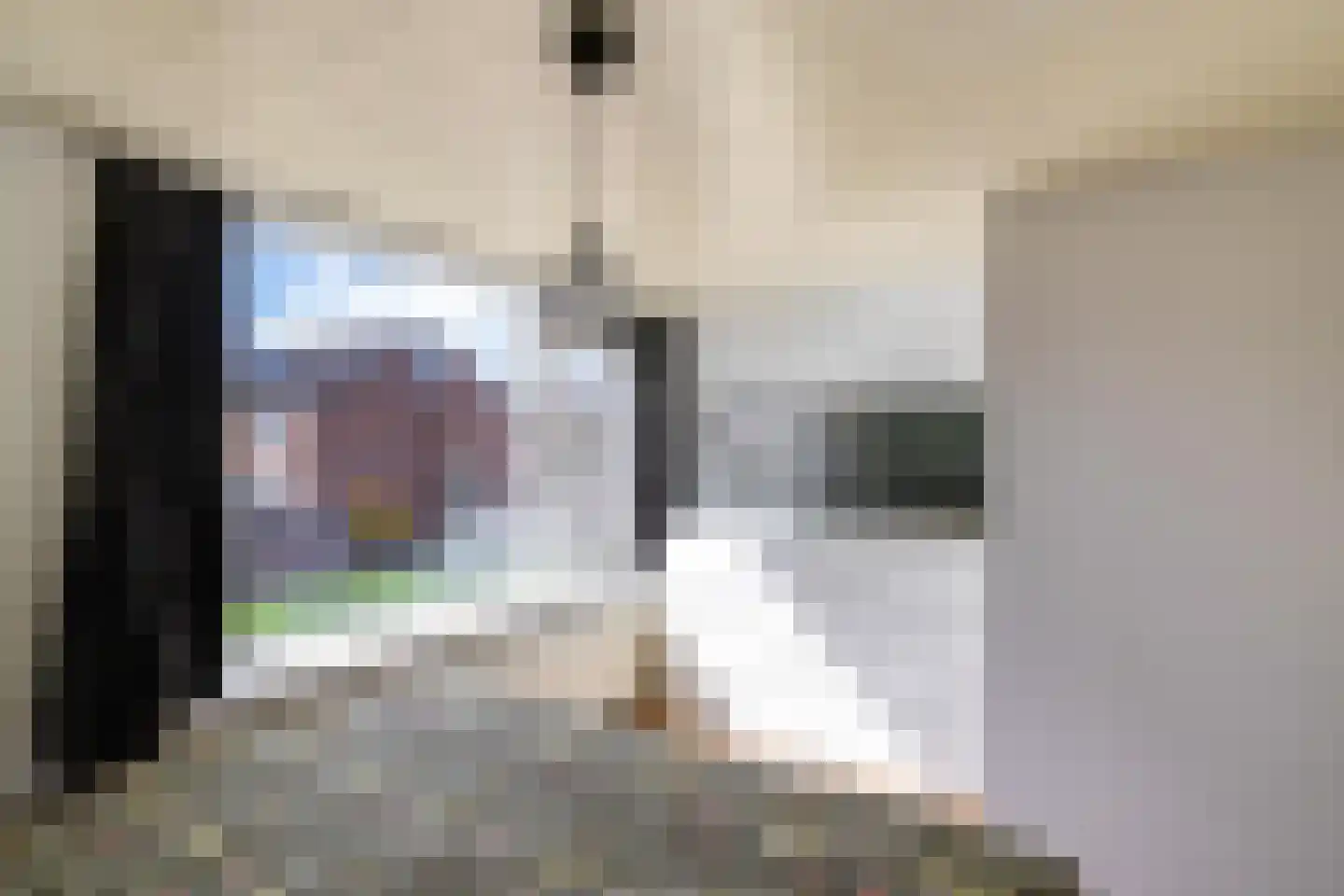 Aconietenhof 22 Winsum thumbnail 19