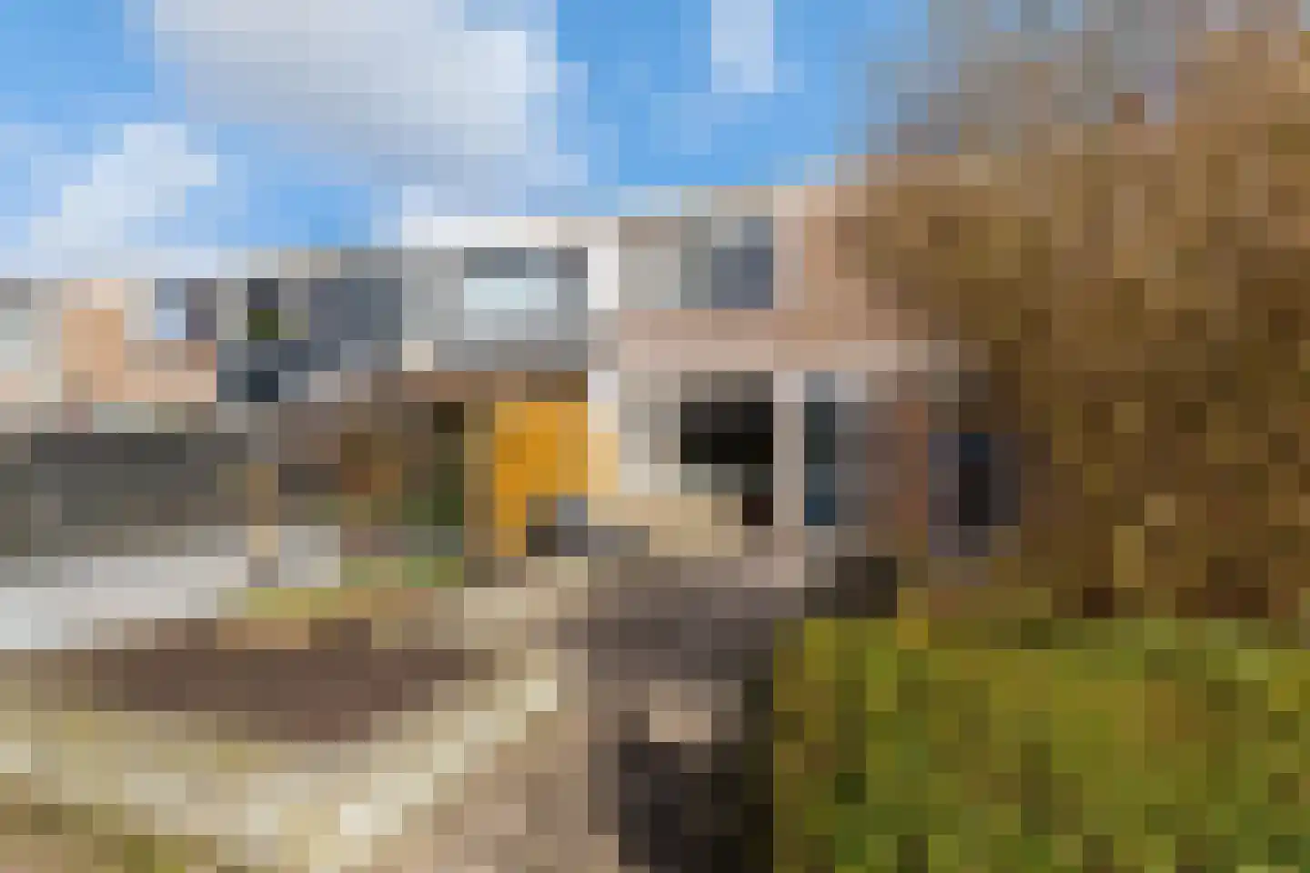 Aconietenhof 22 Winsum thumbnail 28