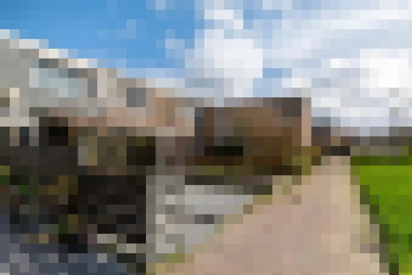 Aconietenhof 22 Winsum thumbnail 29