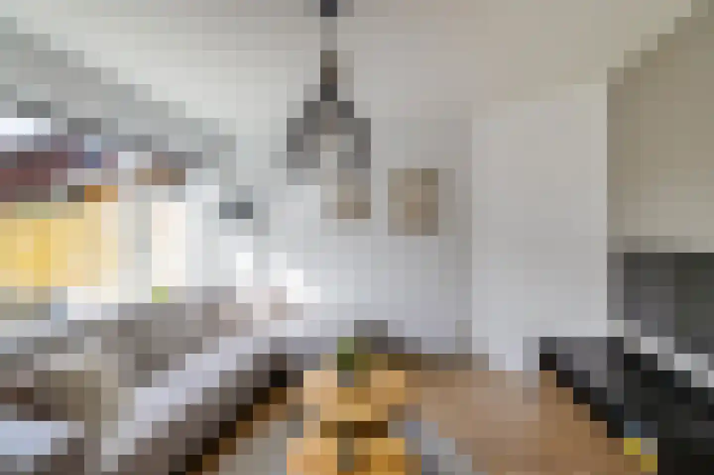Aconietenhof 22 Winsum thumbnail 4