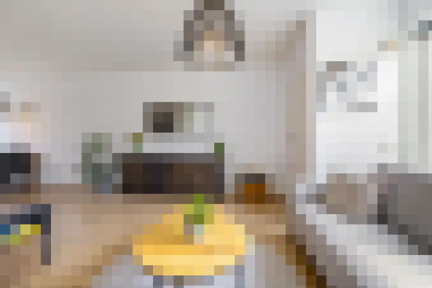 Aconietenhof 22 Winsum thumbnail 5