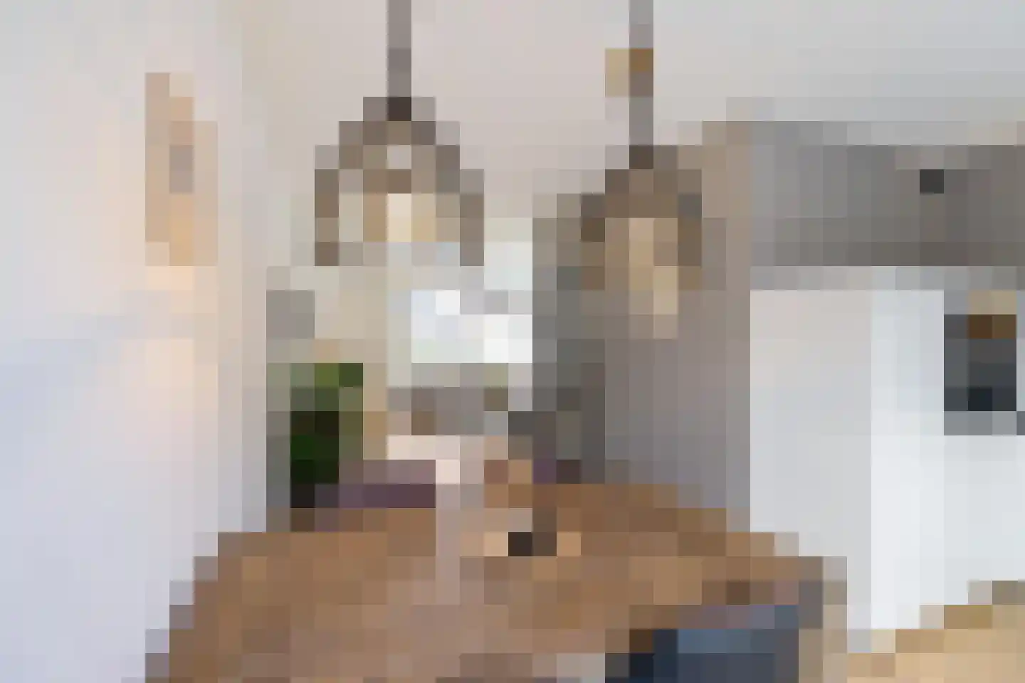 Aconietenhof 22 Winsum thumbnail 8