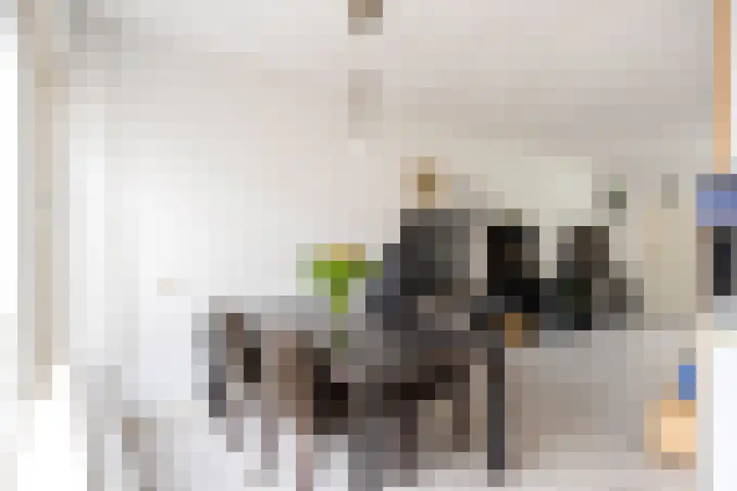 Aconietenhof 7 Winsum thumbnail 13