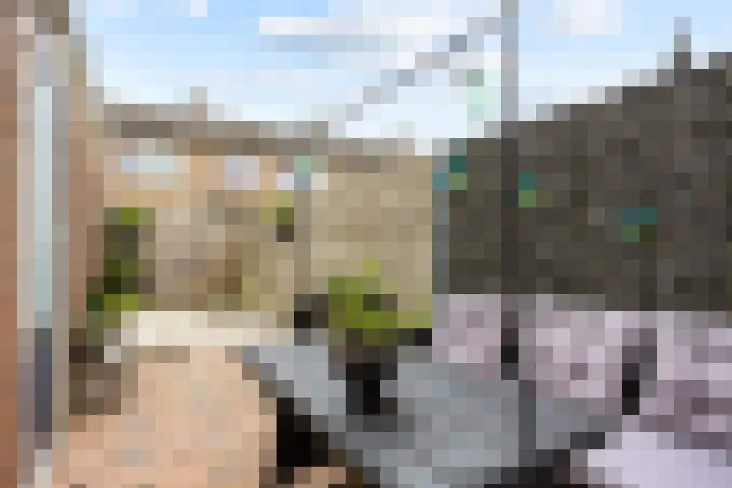Aconietenhof 7 Winsum thumbnail 14