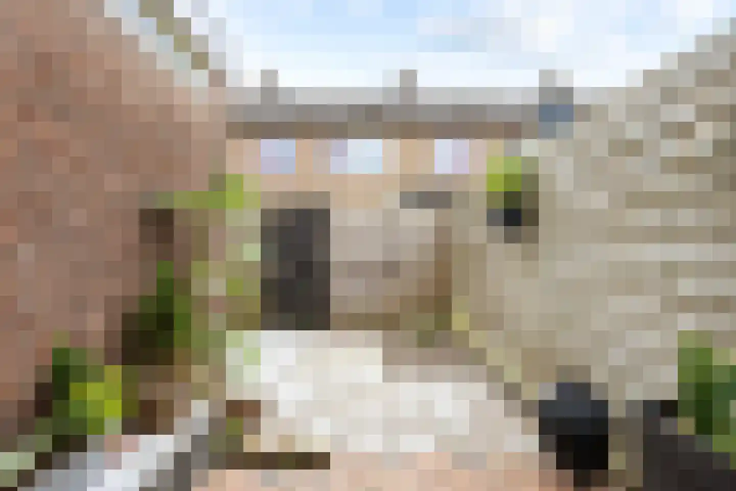 Aconietenhof 7 Winsum thumbnail 22