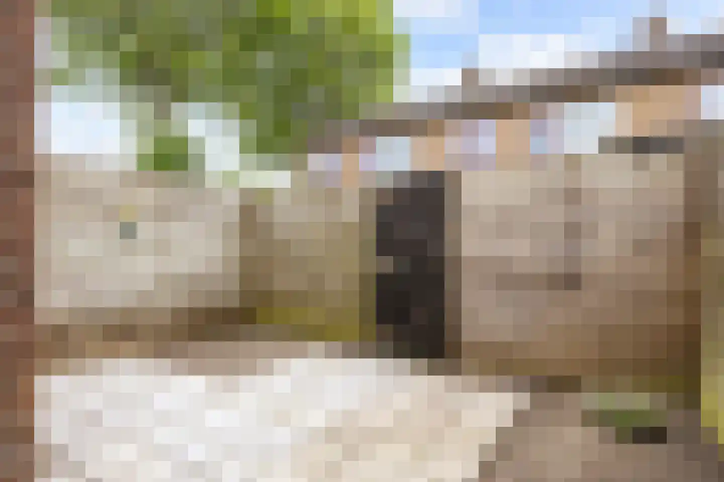 Aconietenhof 7 Winsum thumbnail 23