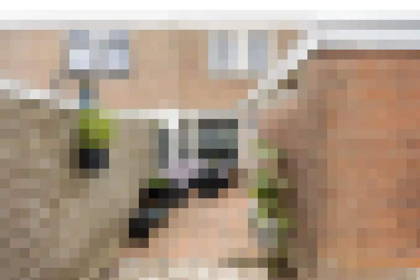 Aconietenhof 7 Winsum thumbnail 24