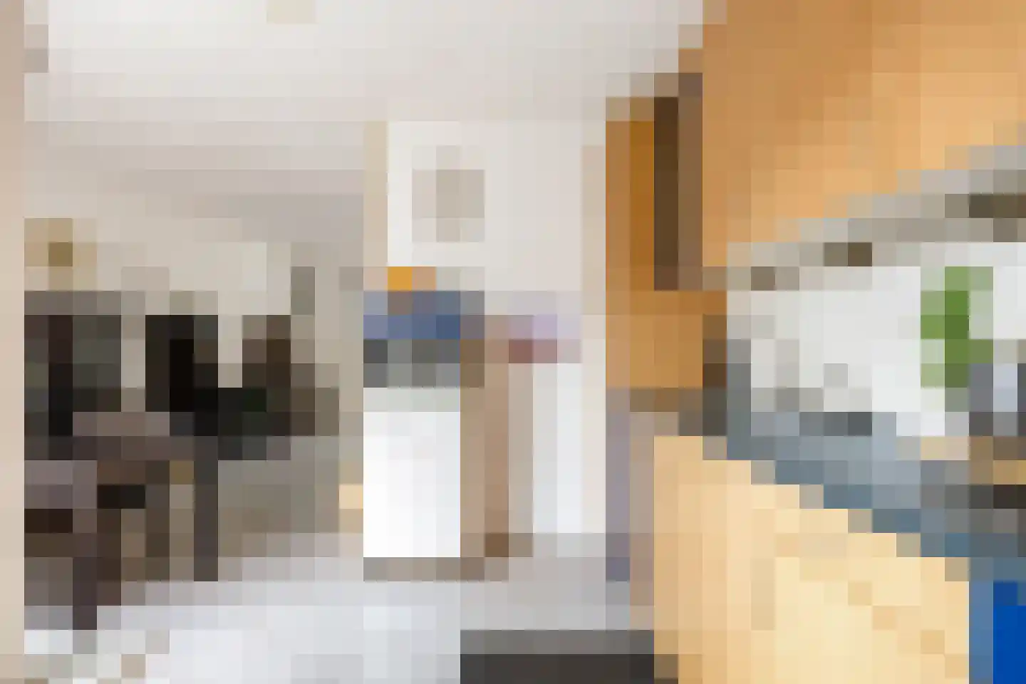 Aconietenhof 7 Winsum thumbnail 7