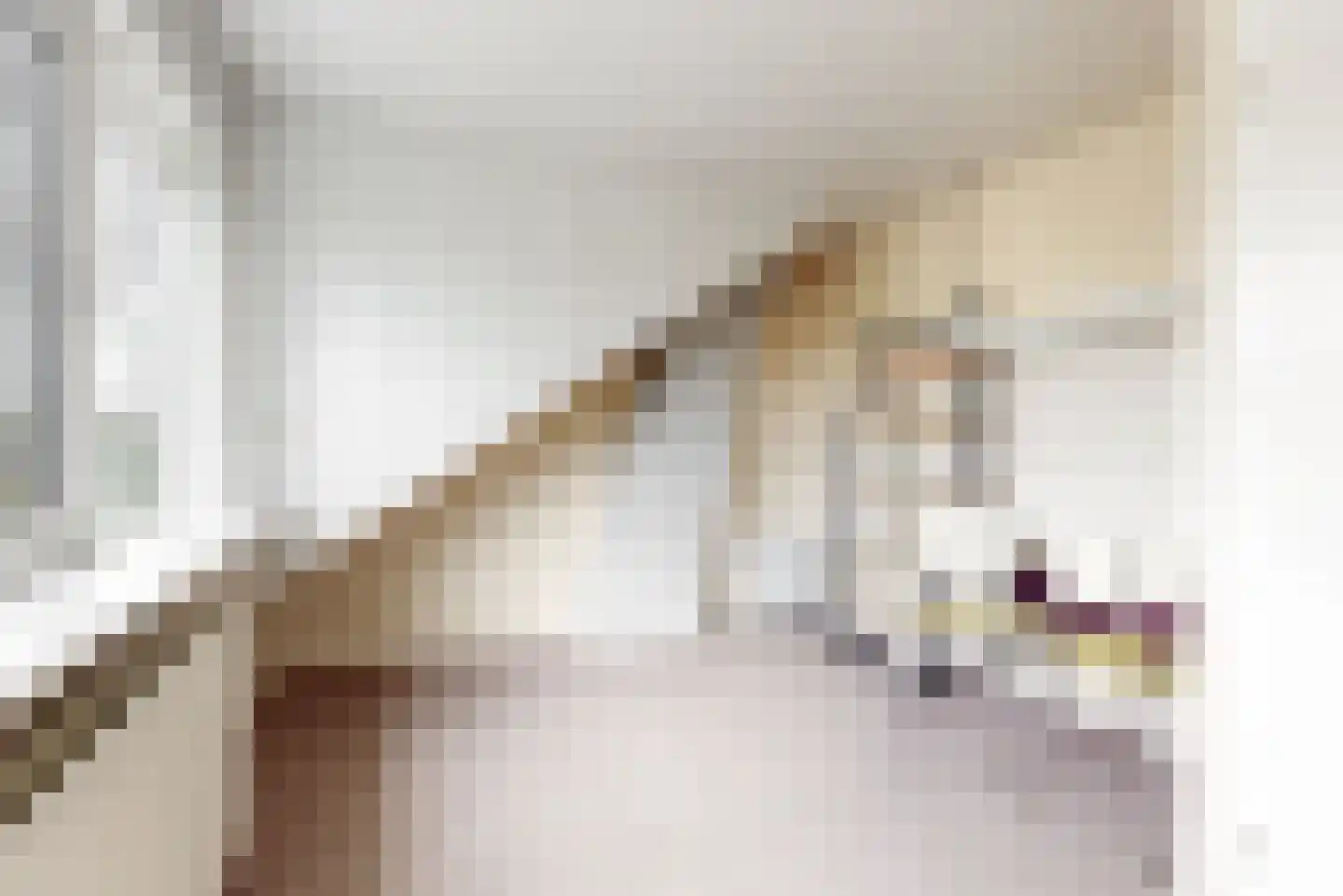 Acquoylaan 13 Tiel thumbnail 21