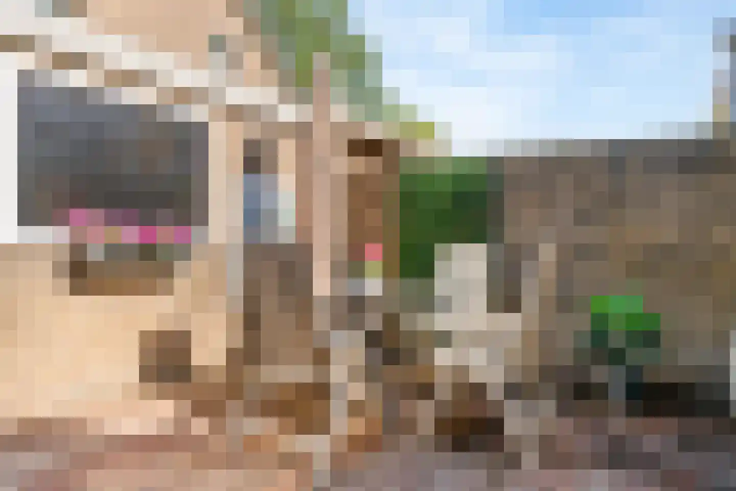Acquoylaan 13 Tiel thumbnail 30