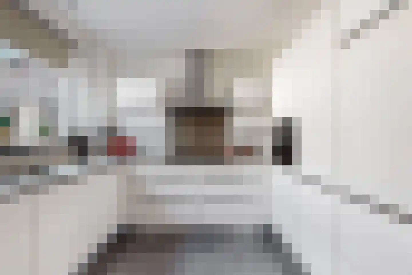 Acquoylaan 13 Tiel thumbnail 7