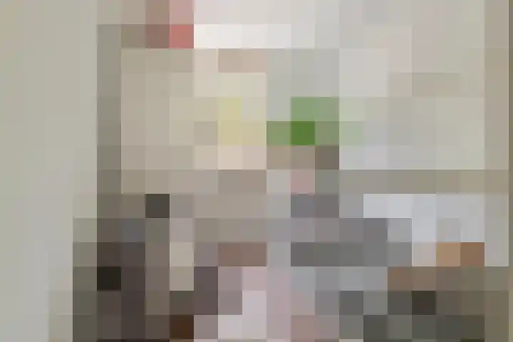 Acquoylaan 7 Tiel thumbnail 15