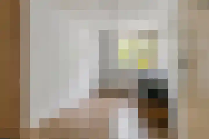 Acquoylaan 7 Tiel thumbnail 17