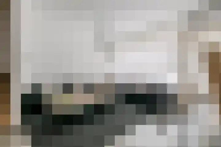 Acquoylaan 7 Tiel foto 2