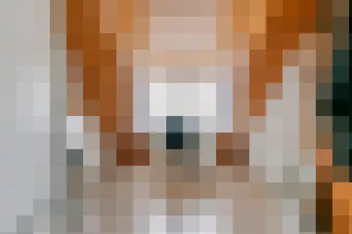 Acquoylaan 7 Tiel thumbnail 22