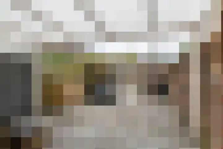 Acquoylaan 7 Tiel thumbnail 25