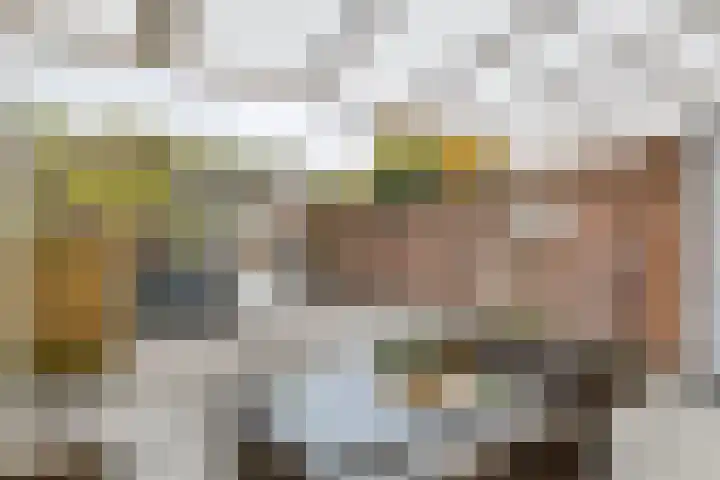 Acquoylaan 7 Tiel thumbnail 26