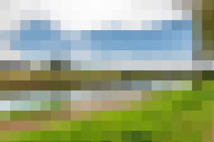 Acquoylaan 7 Tiel thumbnail 28