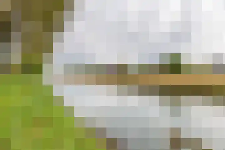 Acquoylaan 7 Tiel thumbnail 29
