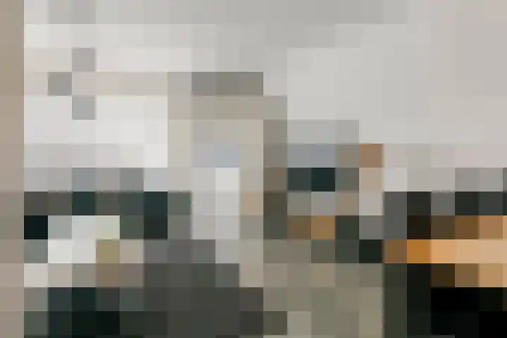 Acquoylaan 7 Tiel thumbnail 6