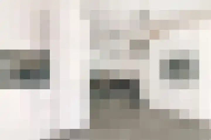 Acquoylaan 7 Tiel thumbnail 9