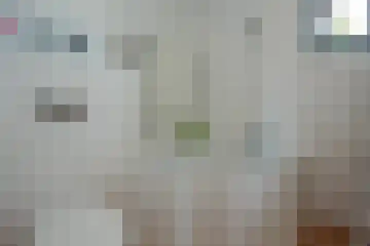 Acropolis 83 Hoofddorp thumbnail 4