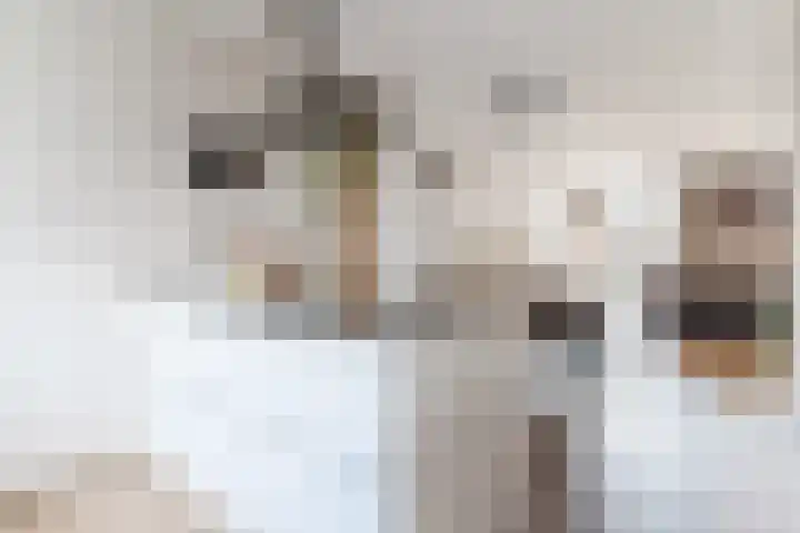 Actus 14 Veldhoven thumbnail 13