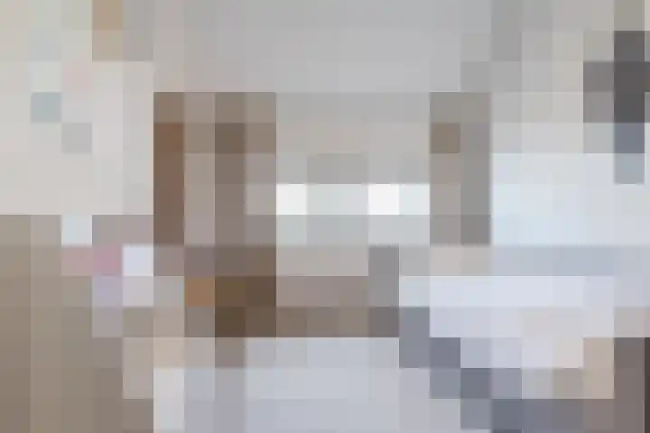 Actus 14 Veldhoven thumbnail 17