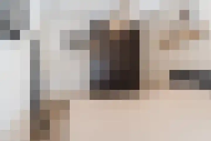 Actus 14 Veldhoven thumbnail 24