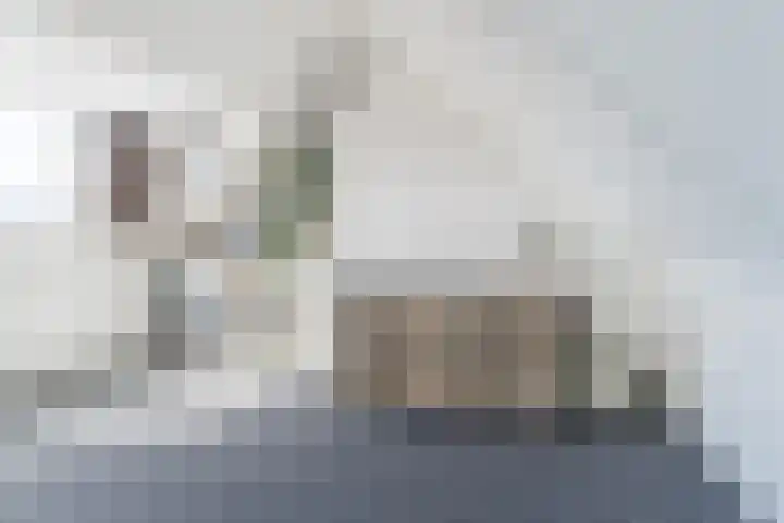 Actus 14 Veldhoven thumbnail 29