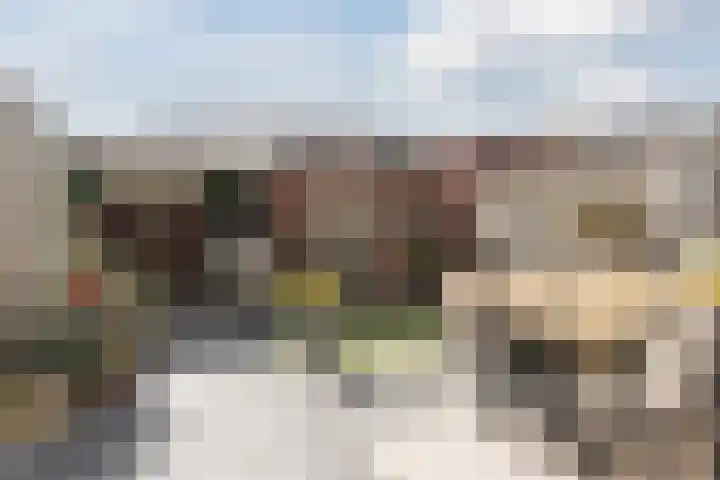Actus 14 Veldhoven thumbnail 33