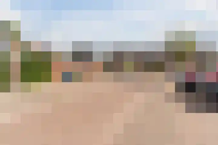 Actus 14 Veldhoven thumbnail 38