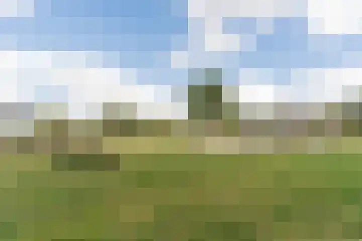 Actus 14 Veldhoven thumbnail 44