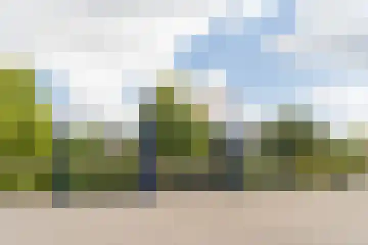 Actus 14 Veldhoven thumbnail 45