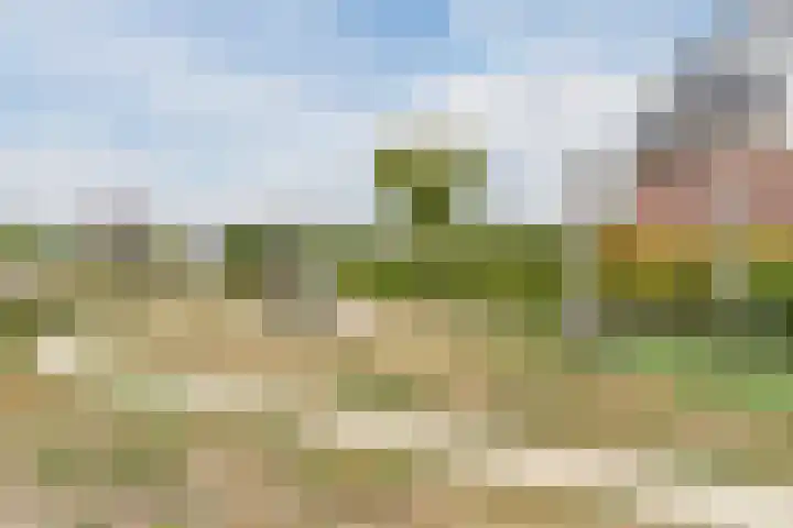 Actus 14 Veldhoven thumbnail 47