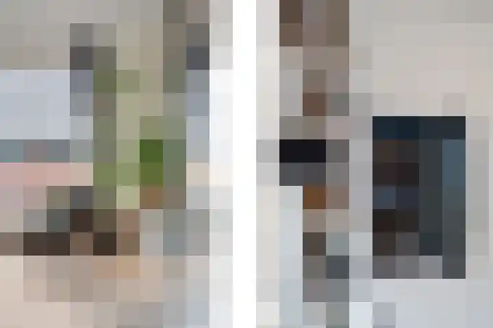 Ad van der Steurzoom 20 Bergschenhoek thumbnail 12