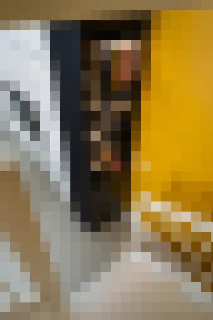 Ad van der Steurzoom 20 Bergschenhoek thumbnail 13