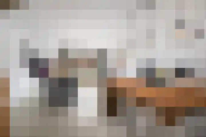 Ad van der Steurzoom 20 Bergschenhoek thumbnail 14