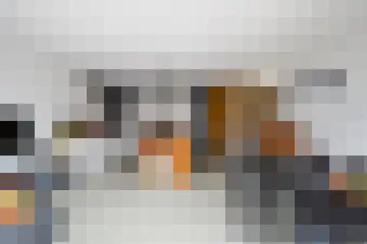 Ad van der Steurzoom 20 Bergschenhoek thumbnail 16
