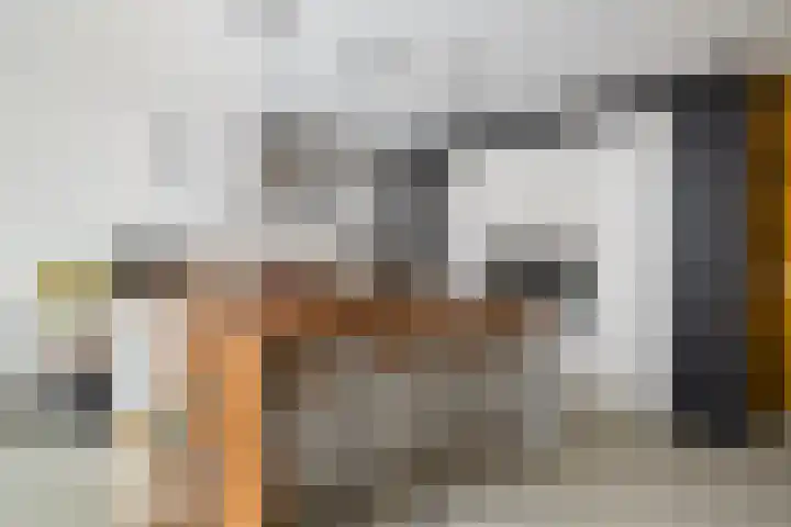 Ad van der Steurzoom 20 Bergschenhoek thumbnail 17
