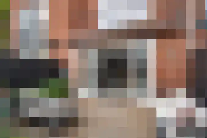 Ad van der Steurzoom 20 Bergschenhoek thumbnail 21