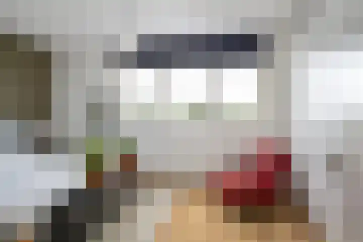 Ad van der Steurzoom 20 Bergschenhoek thumbnail 25